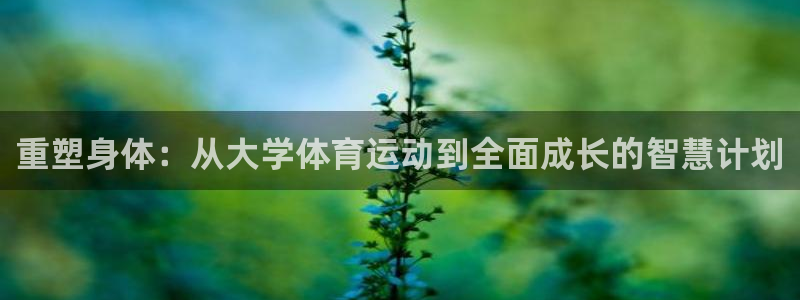 vsport体育在线官网