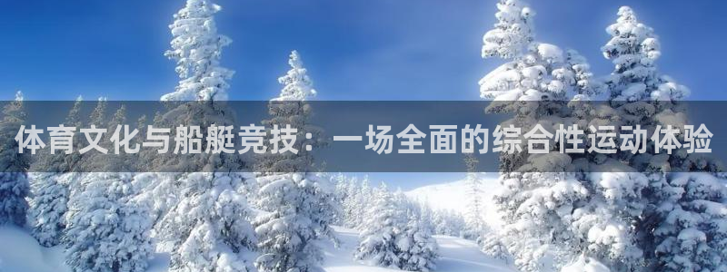 vsport体育在线官网