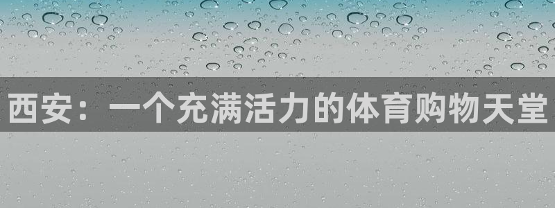 vsport体育在线官网
