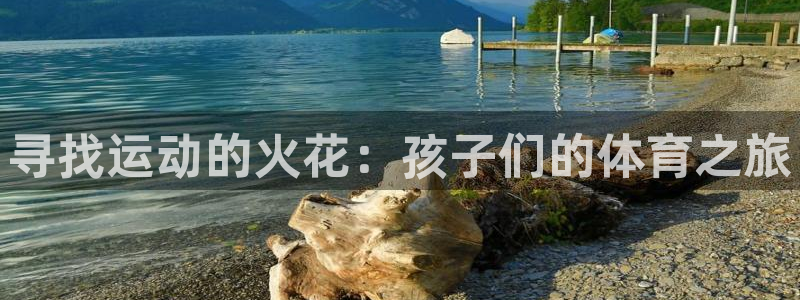 vsport体育在线官网：寻找运动的火花：孩子们的体育之旅