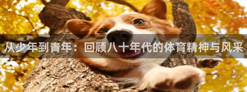 vsport体育在线官网：从少年到青年：回顾八十年代的体育精神与风采