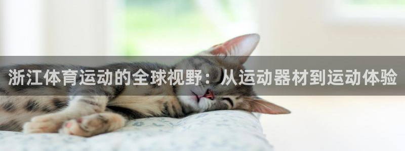 vsport体育在线官网