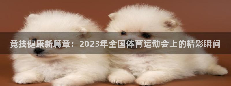 vsport体育在线官网：竞技健康新篇章：2023年全国体育运动会上的精彩瞬间