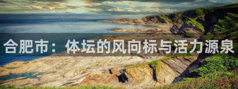 vsport体育在线官网：合肥市：体坛的风向标与活力源泉