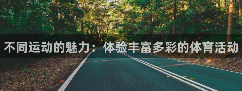 vsport体育：不同运动的魅力：体验丰富多彩的体育活动
