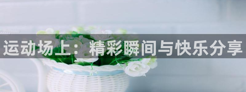 vsport体育：运动场上：精彩瞬间与快乐分享